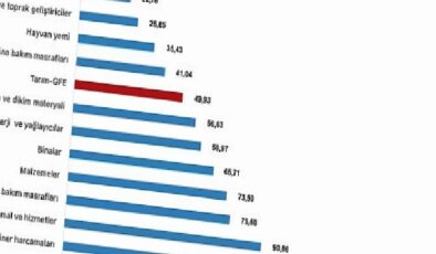 Tüik: Tarımsal girdi fiyat endeksi (Tarım-GFE) yıllık %49,93 arttı, aylık %1,16 arttı