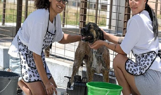 Bunaltan sıcaklarda can dostlar unutulmadı