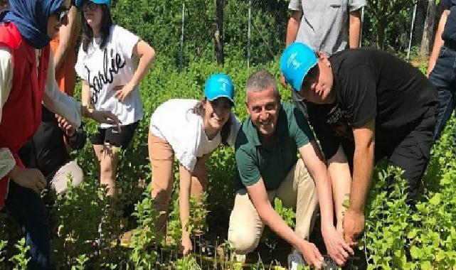 Özel çocuklarımız sebze ve aromatik bitki yetiştiriyor