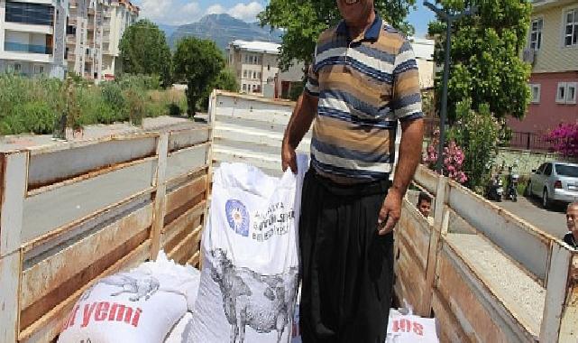 Büyükşehir’den Gazipaşa ve Elmalılı üreticilere yem desteği