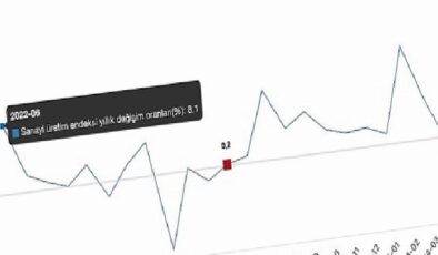 Tüik: Sanayi üretimi yıllık %0,1 azaldı